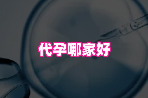 南京助孕网 4